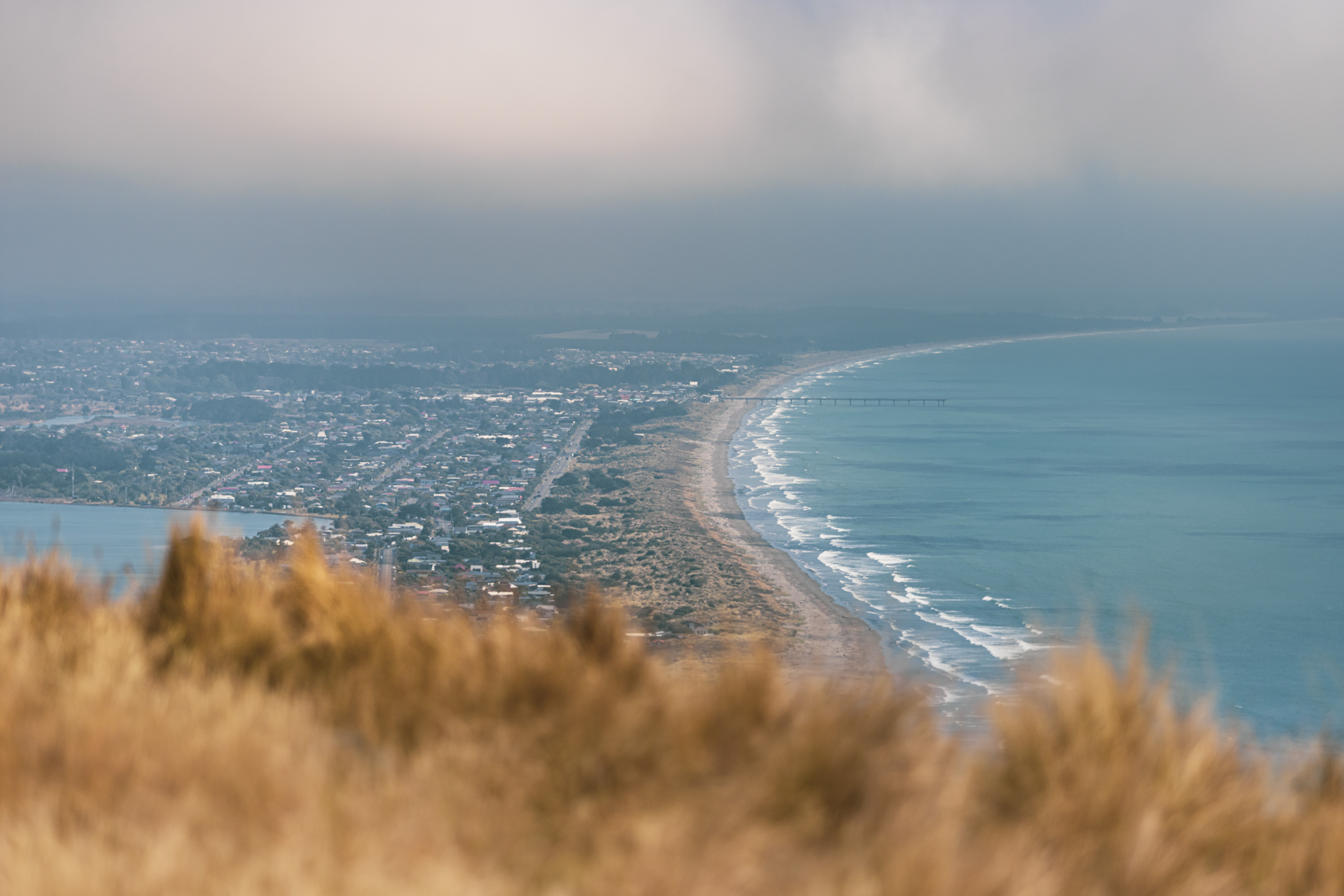 Aerial view of New Brighton from the Port Hills, with tussock grass softly blurred in the foreground and the coastline, New Brighton Pier, and Christchurch visible in the distance