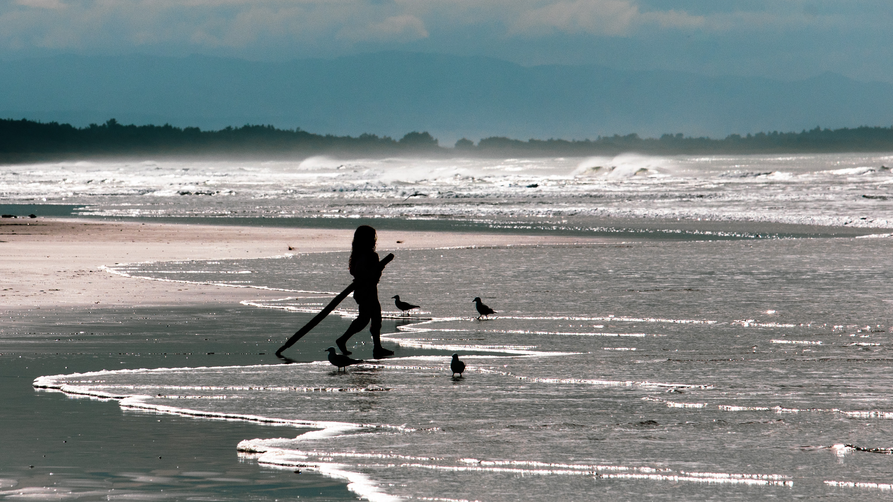 Young girl walking along the shoreline holding a stick, with seagulls gathered nearby on the beach in a playful coastal scene